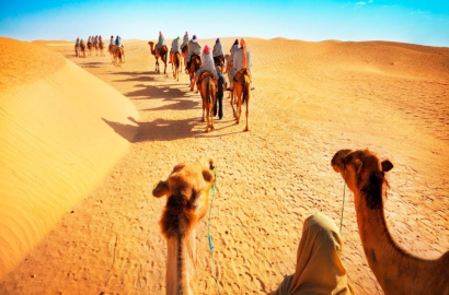 Camel back riding