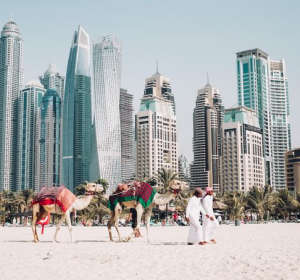 Dubai City with Camels