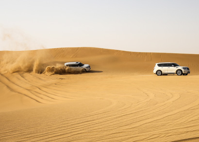 Safari Desert Driving